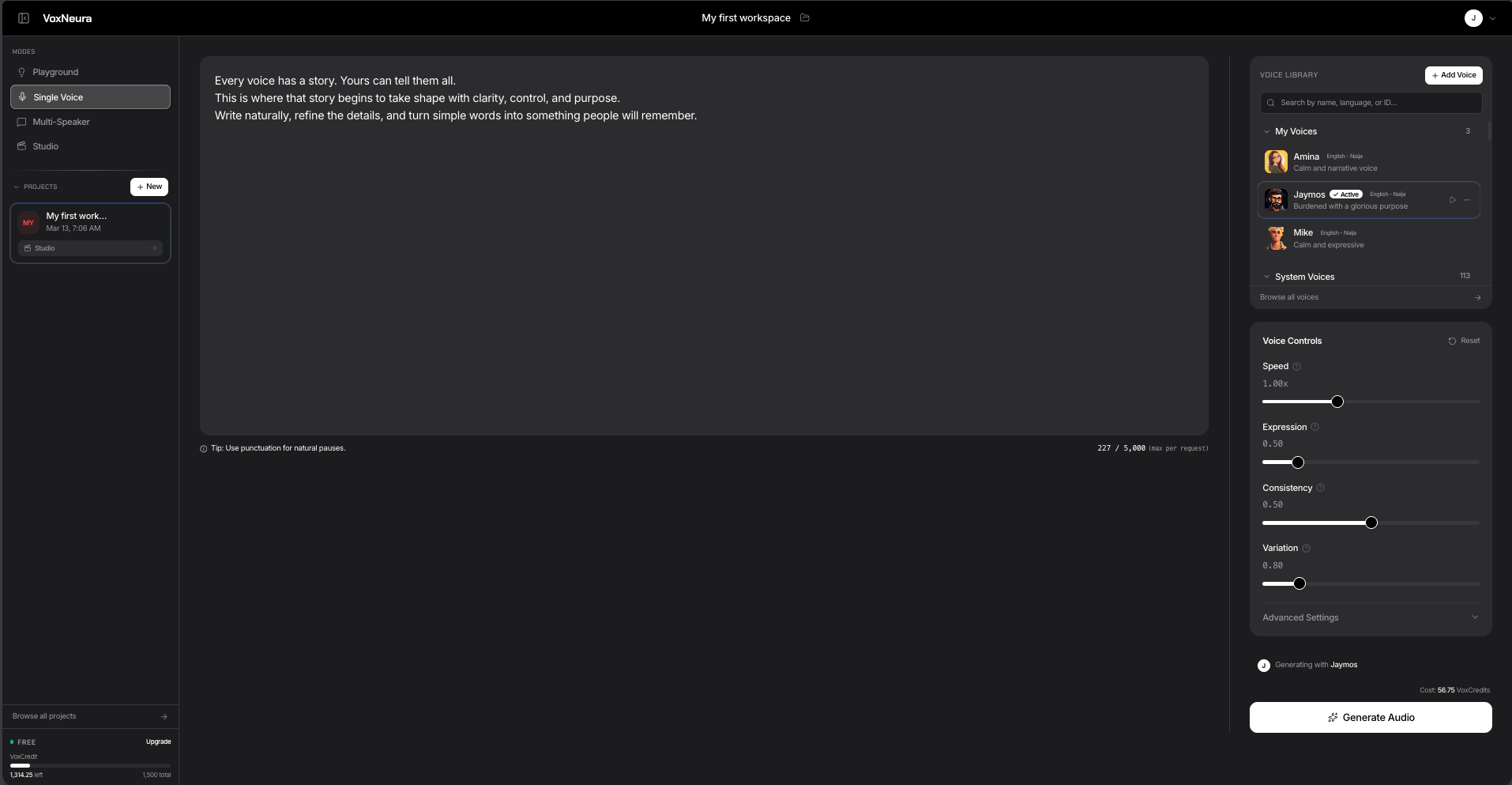 VoxNeura single-voice text-to-speech interface